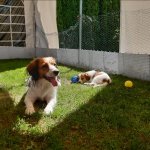 12Woche ENDE